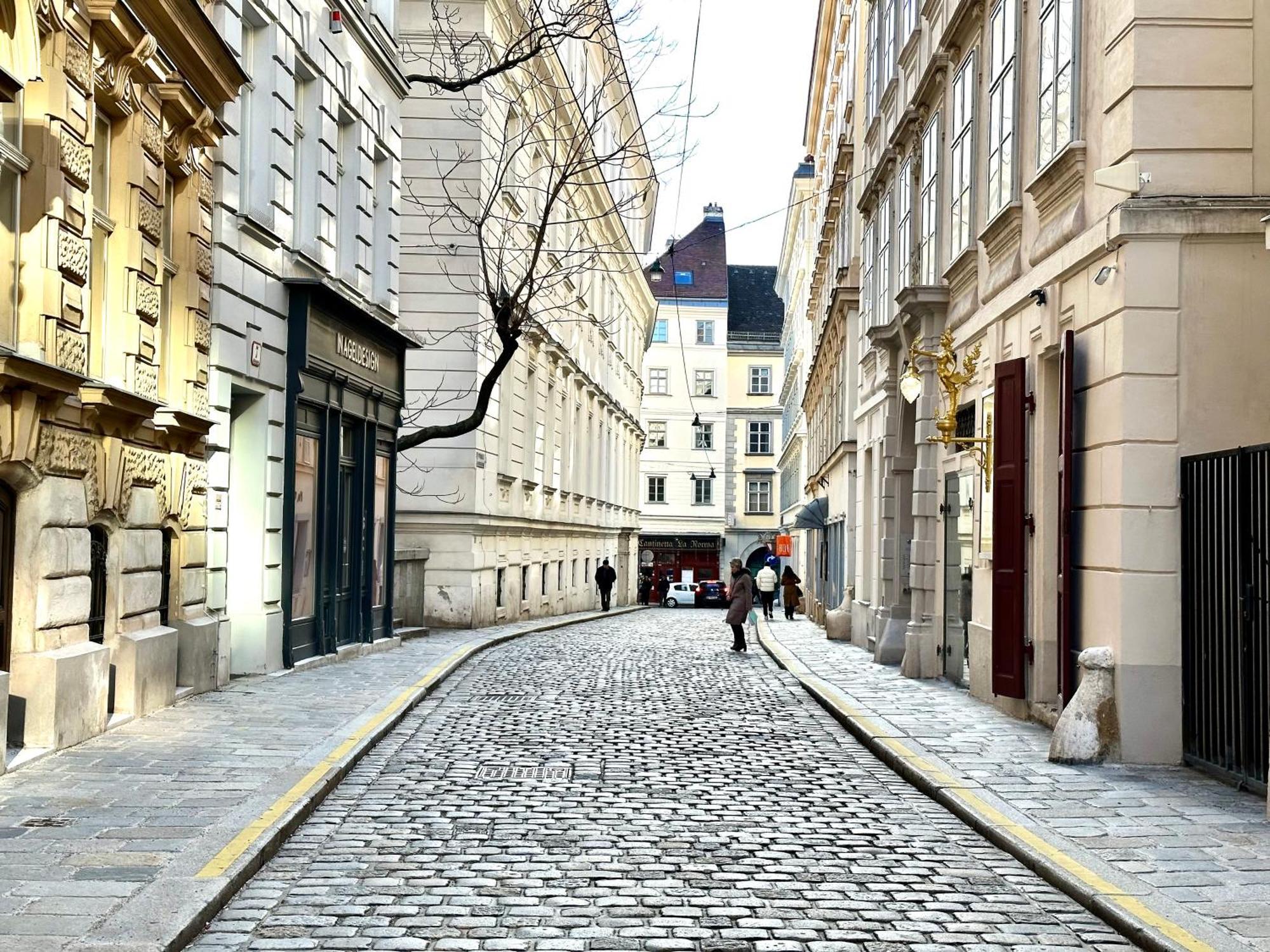Central Stephansdom Apartment I Netflix I Self Check In ウィーン エクステリア 写真